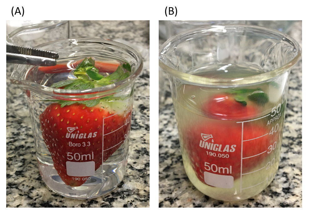 Strawberries could get extended shelf-life thanks to new edible coating